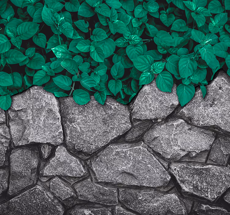 Tapisserie nature contraste de verdure luxuriante - TenStickers