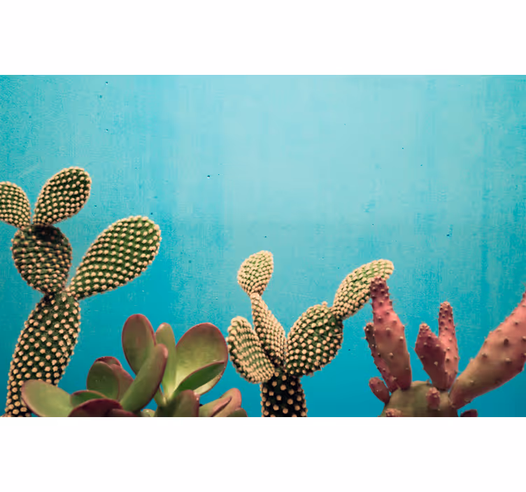 Papier peint mural cactus sur fond bleu - TenStickers