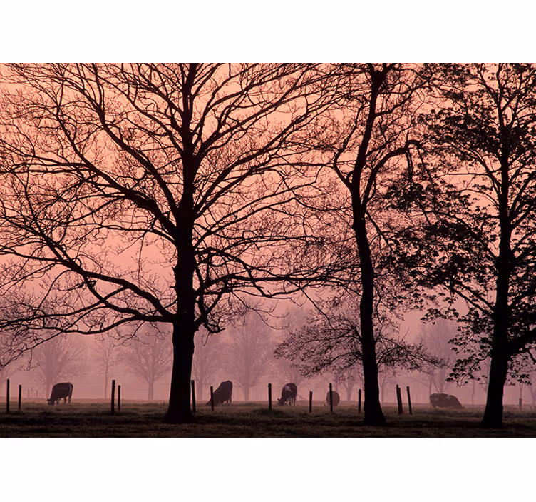 Tapisserie paysage scène de végétation dans la brume - TenStickers