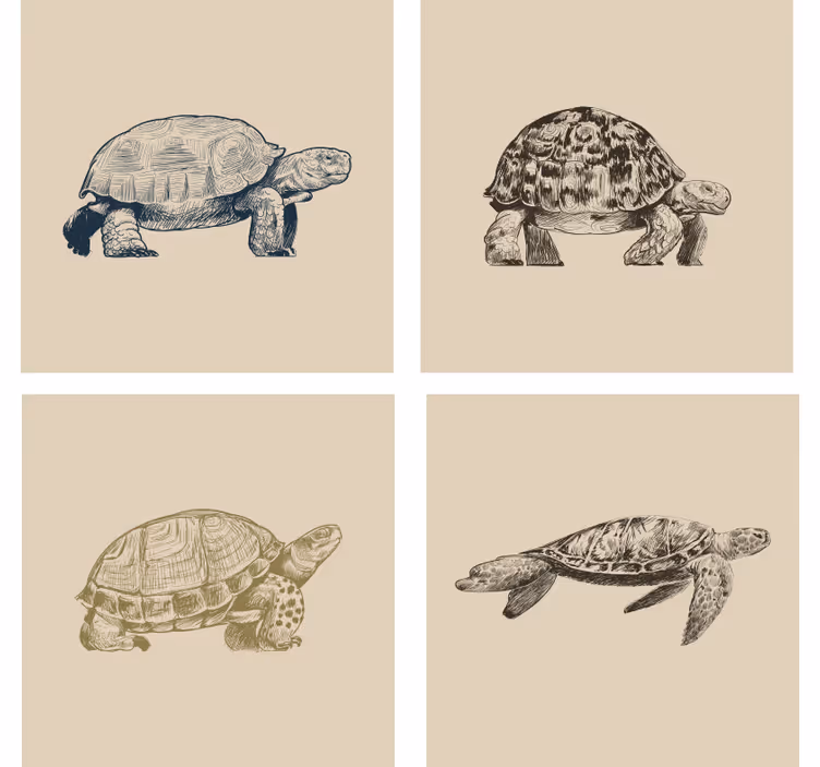 Dessous de verre vintage illustrations de tortue rétro - TenStickers