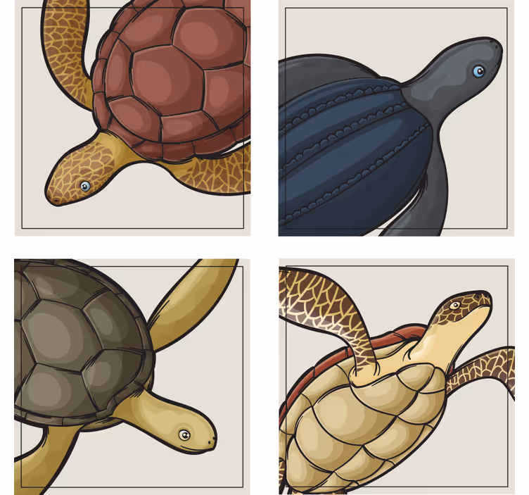 Dessous de verre geek illustrations de tortues colorées - TenStickers