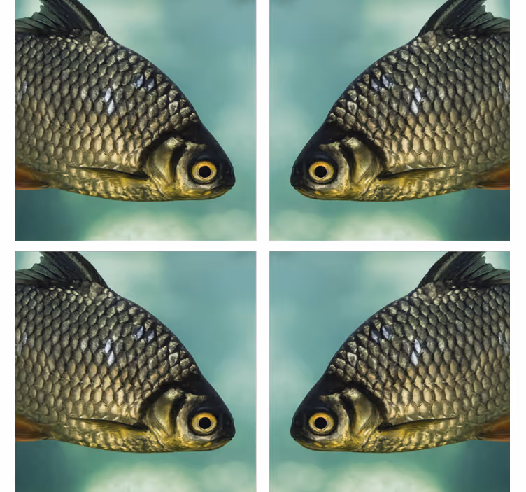 Dessous de verre geek image réaliste de poissons - TenStickers
