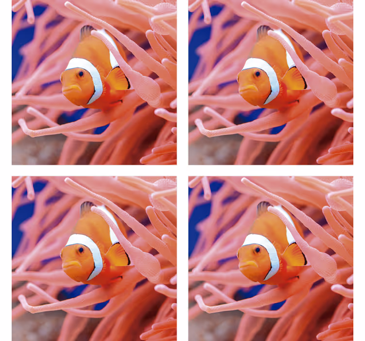 Dessous de verre moderne scène sous-marine clownfish - TenStickers