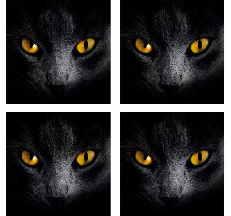 Chat noir halloween dessous de verre - TenStickers