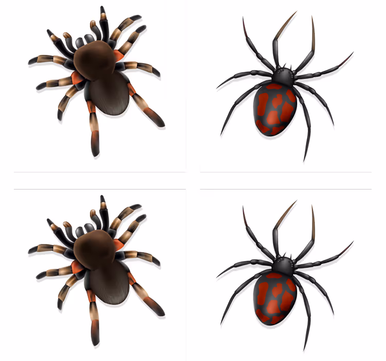 Dessous de verre halloween collection araignée effrayante - TenStickers