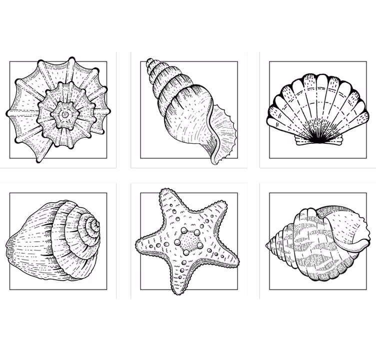 Dessous de verre motifs de coquillages raffinés - TenStickers
