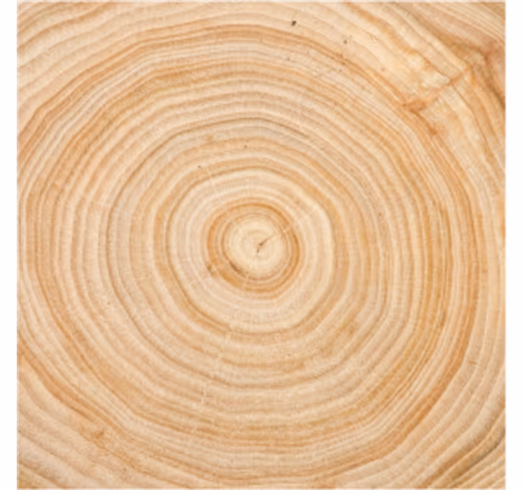 Dessous de verre cercle effet bois - TenStickers