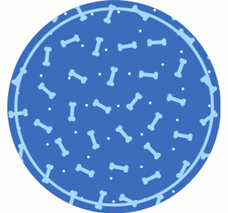 Dessous de verre cercle motif osseux - TenStickers