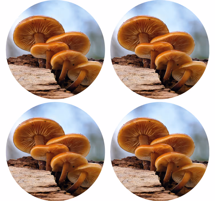 Dessous de verre moderne arrangement de champignons - TenStickers