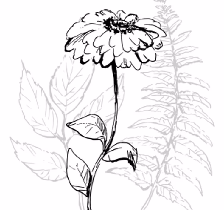 Dessous de verre art botanique en ligne - TenStickers