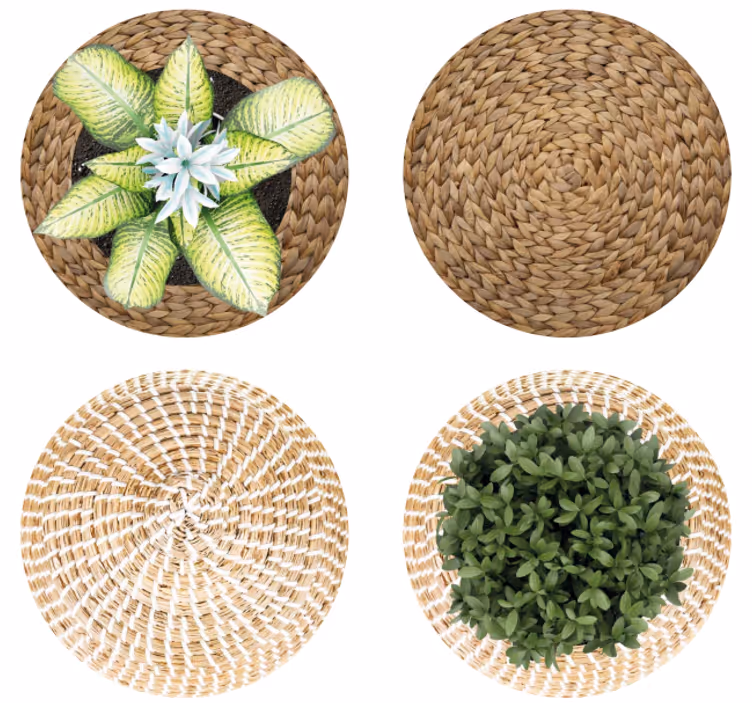 Sous de verre motif en osier et plantes - TenStickers