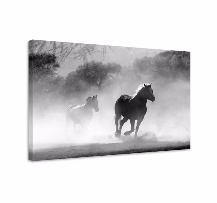 Tableau chevaux cheval blanc et noir - TenStickers