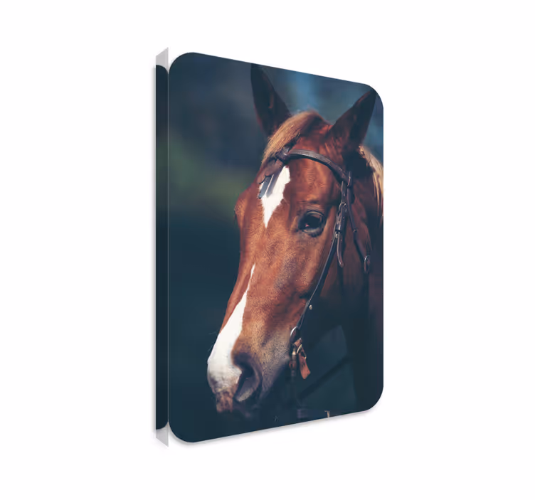 Tableau chevaux tête de cheval - TenStickers