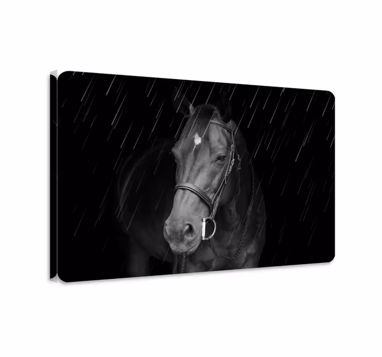 Tableau chevaux cheval dignifié sous la pluie - TenStickers