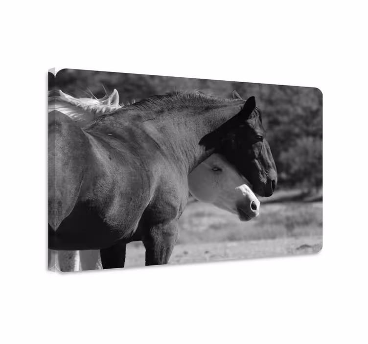Tableau chevaux chevaux noirs et blancs qui s'enlacent - TenStickers