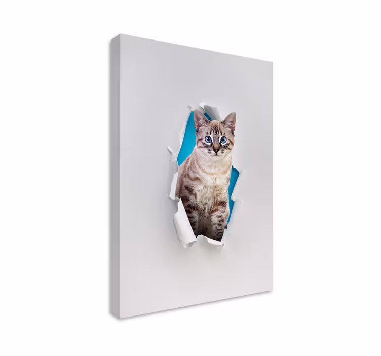 Tableau chat mignon pour les amoureux des félins - TenStickers