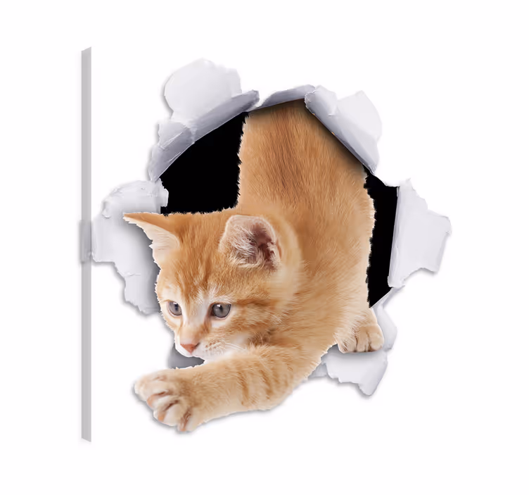 Tableau chat vinyle décoratif trompe-l'œil chat - TenStickers