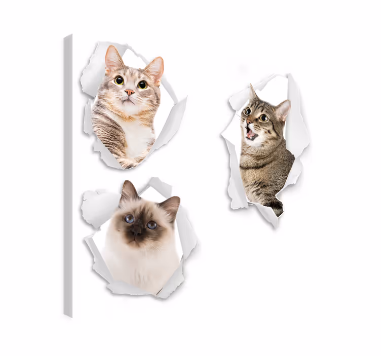 Tableau chat chatons trompe-l'œil - TenStickers