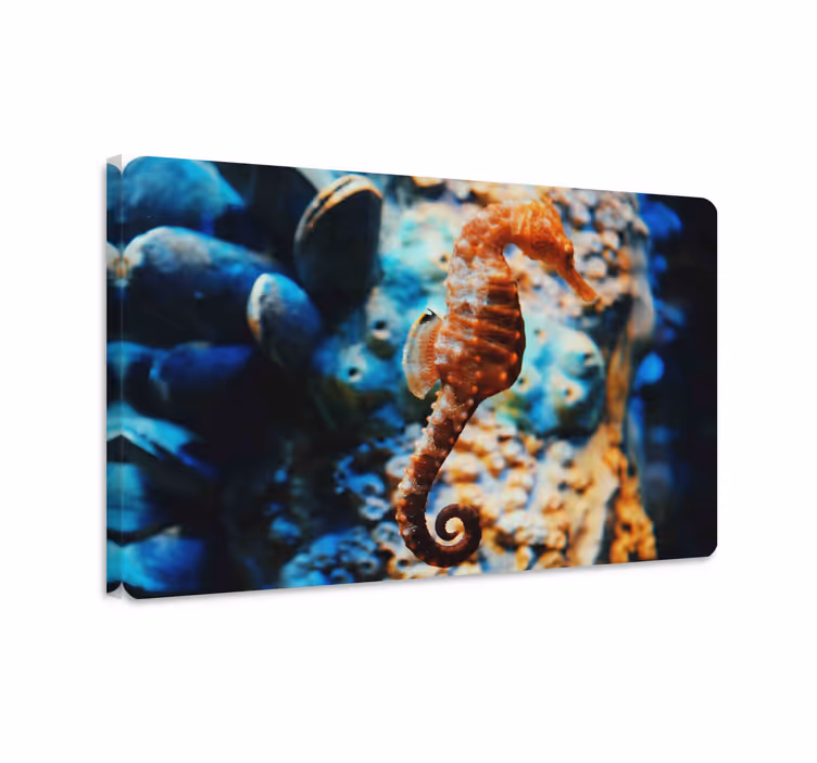 Tableau poissons fond marin décoratif - TenStickers