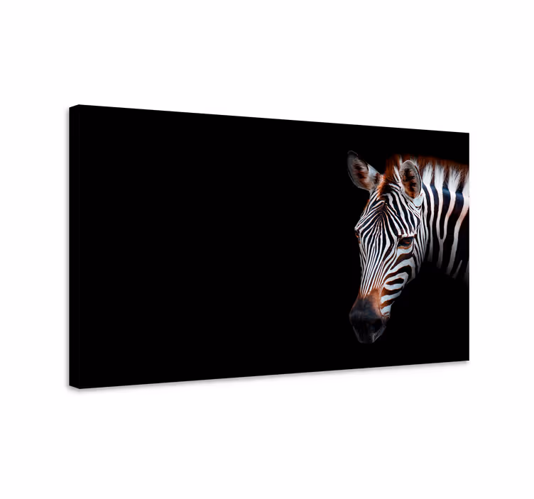 Tableau d'un zèbre sur un fond noir - TenStickers