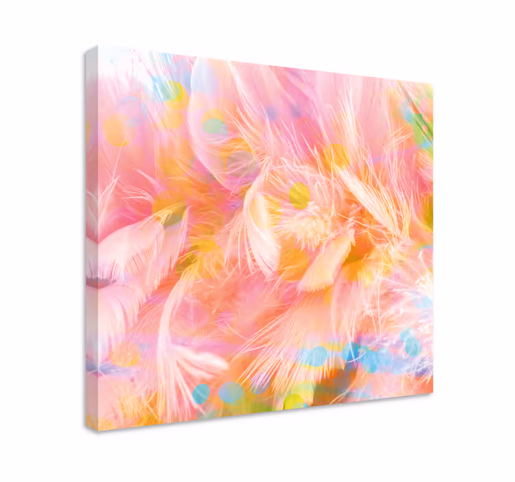 Tableau plumes motifs de plumes délicates - TenStickers