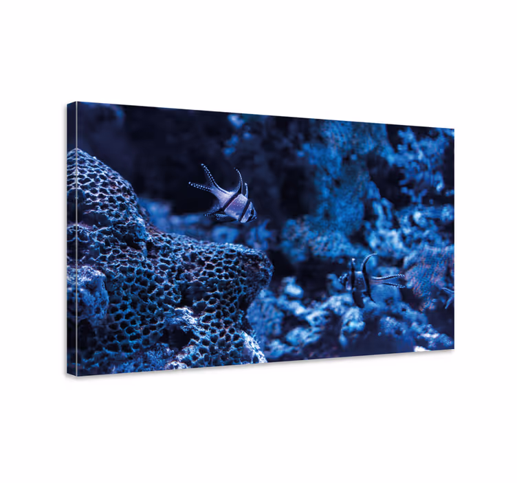 Tableau mer poissons de récif coralliens - TenStickers