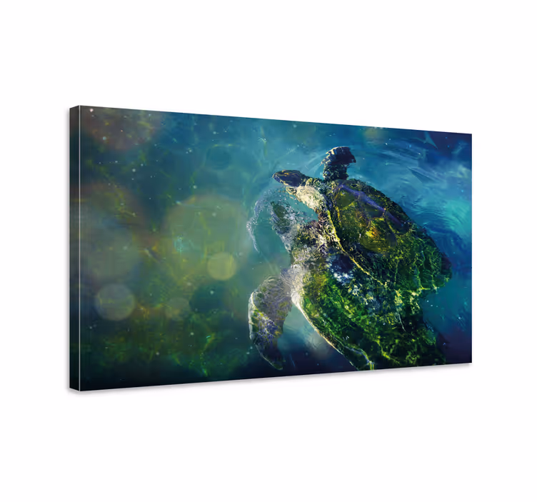 Tableau mer tortue de mer élégante - TenStickers