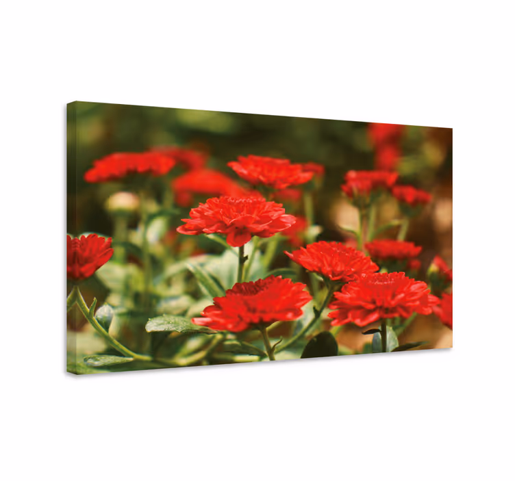 Tableau fleurs et plantes fleurs rouges épanouies - TenStickers