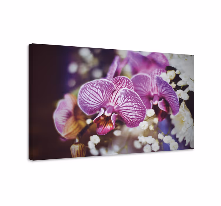 Tableau fleurs et plantes détails des orchidées - TenStickers