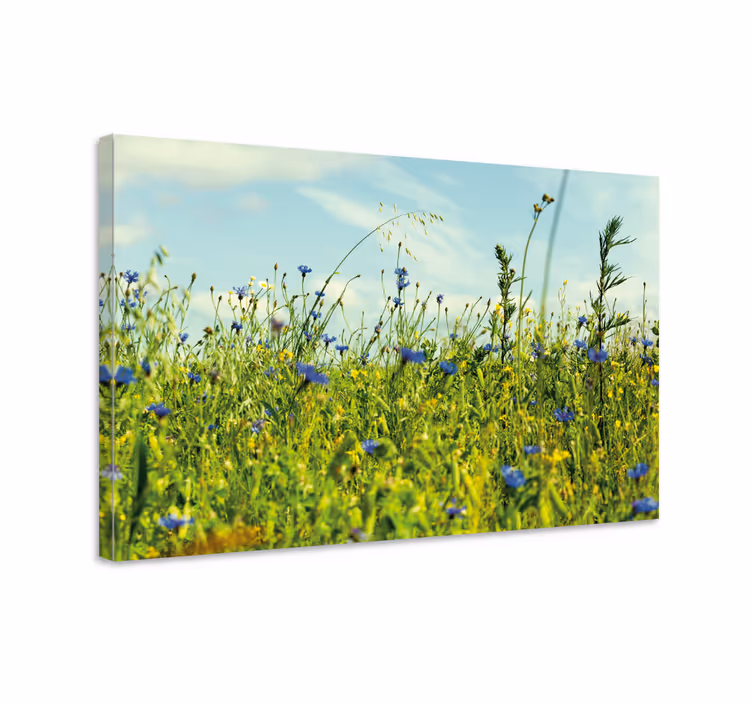 Tableau fleurs et plantes scène de prairie sauvage - TenStickers