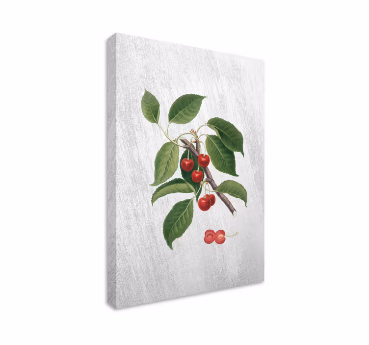 Tableau fruits détail de branche de cerisier - TenStickers