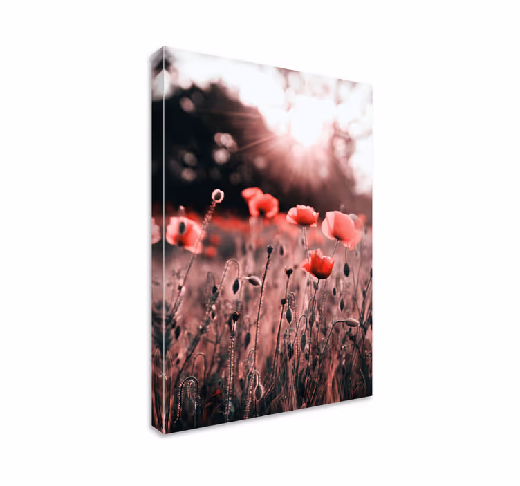 Tableau fleurs et plantes Éclat de pavots - TenStickers