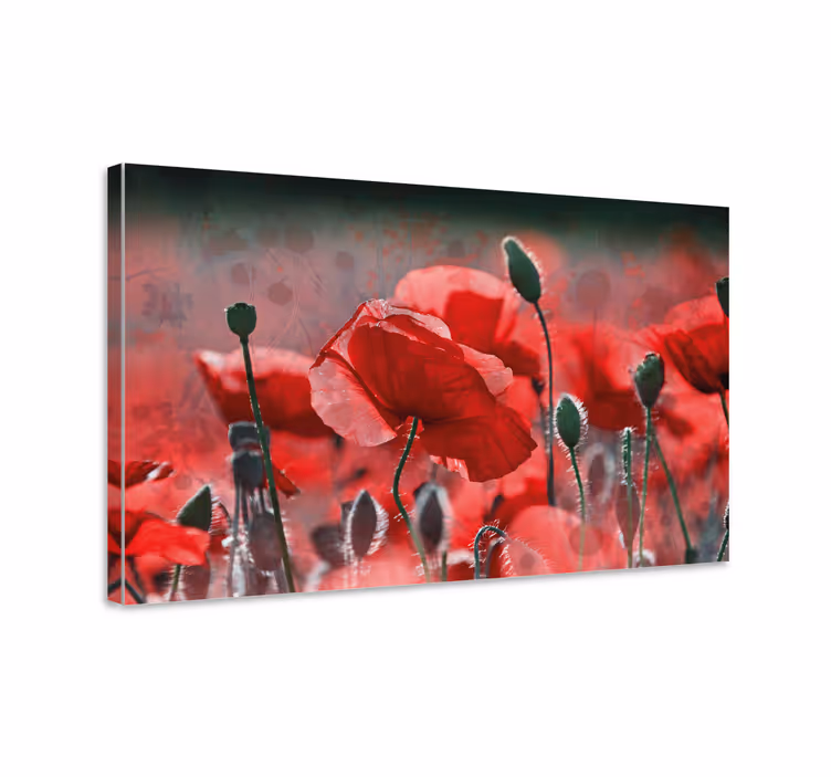 Tableau fleurs Champ de pavot rouge et vert - TenStickers