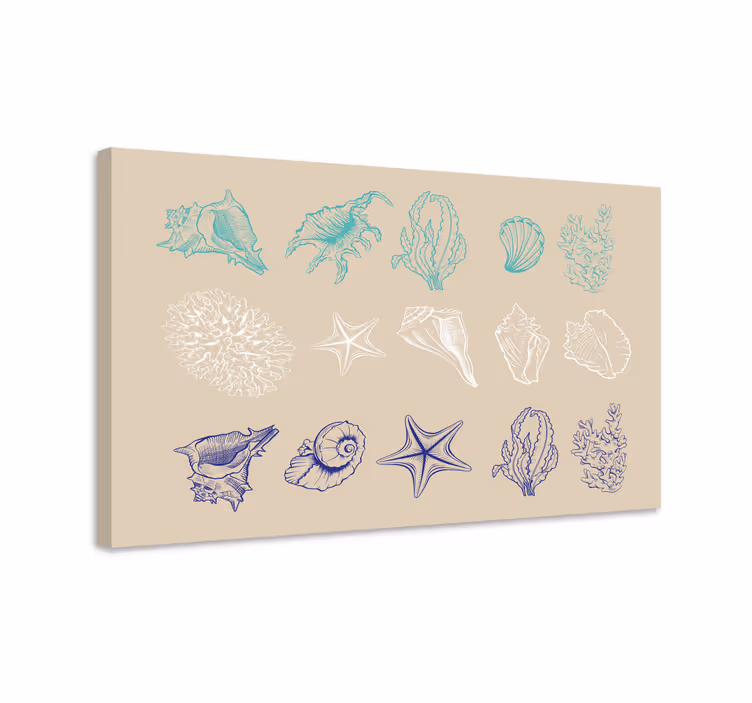 Tableau mer collection de coquillages côte - TenStickers