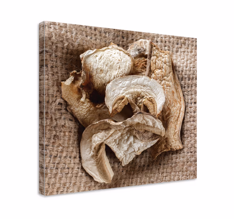 Tableau fleurs et plantes arrangement de champignons séchés - TenStickers