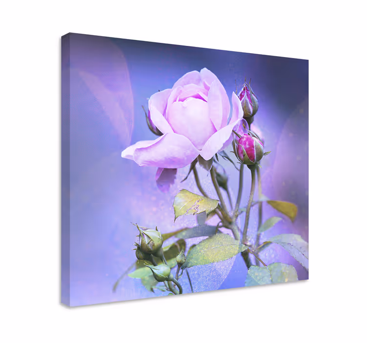 Tableau fleurs et plantes rose Épanouie pink - TenStickers