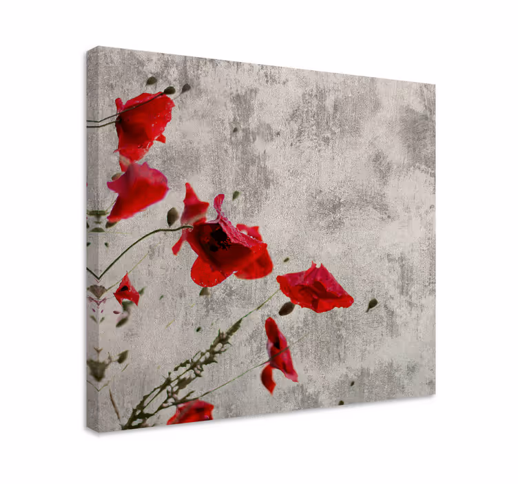 Tableau fleurs et plantes coquelicots rouges - TenStickers