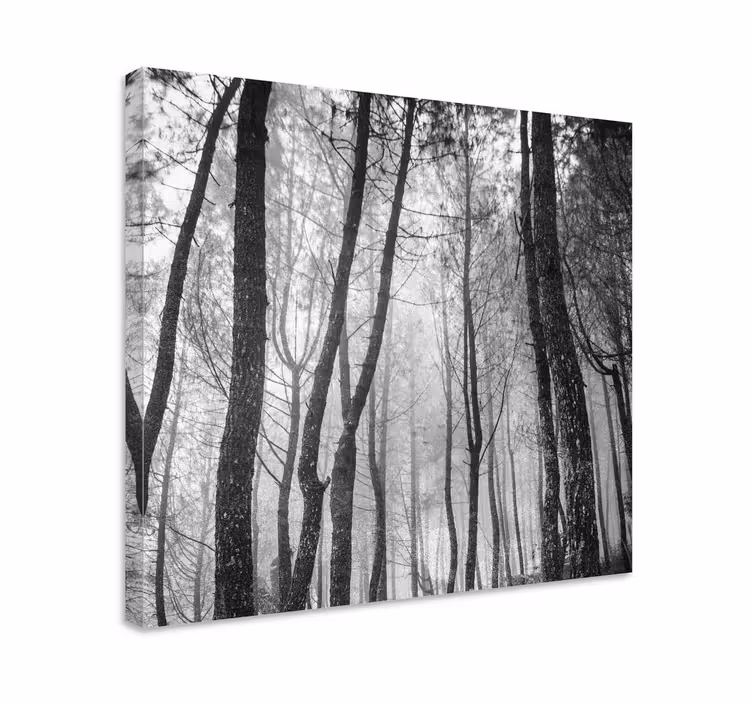 Tableau paysage Forêt brumeuse d'en haut - TenStickers