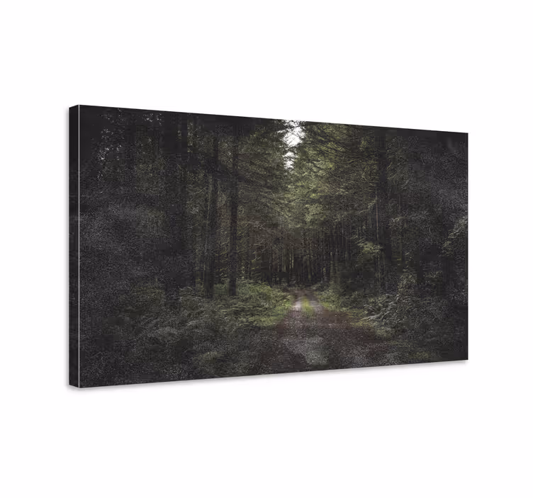 Tableau paysages chemin forestier sérénité - TenStickers