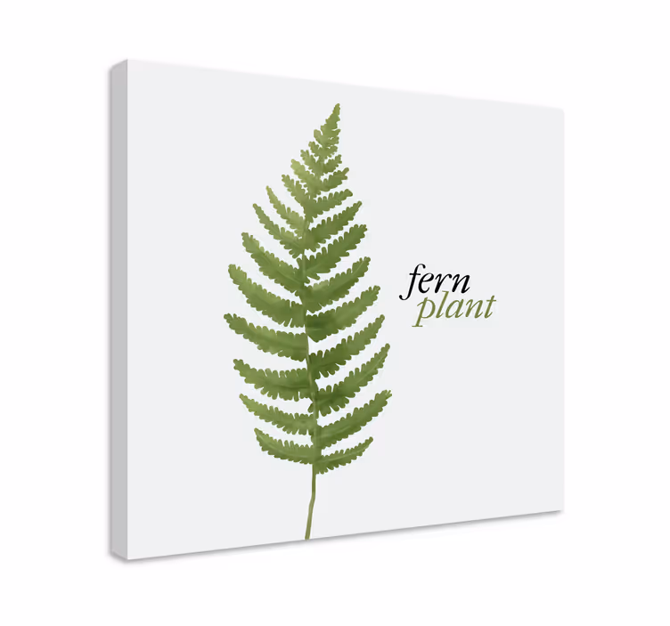 Tableau fleurs et plantes design fougère - TenStickers