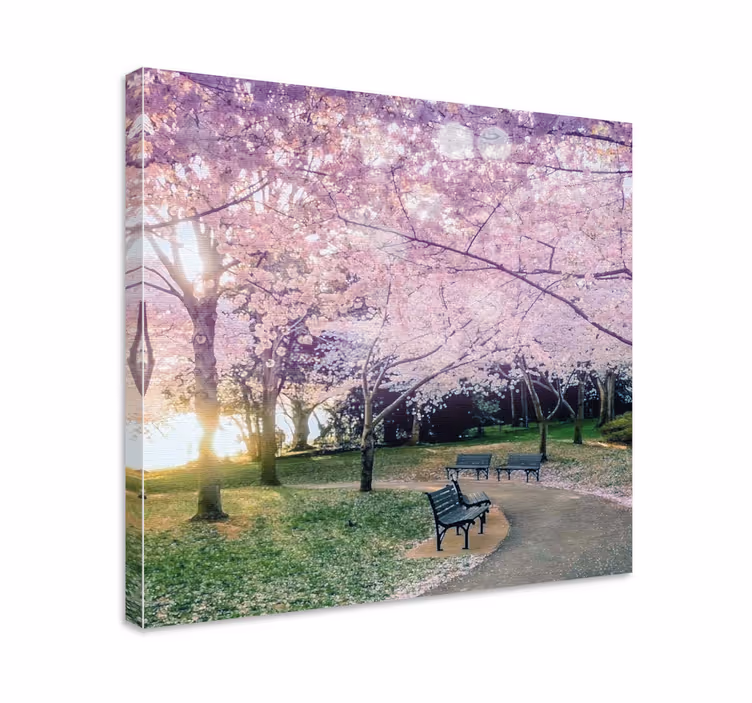 Tableau fleurs et plantes chemin de cerisiers - TenStickers