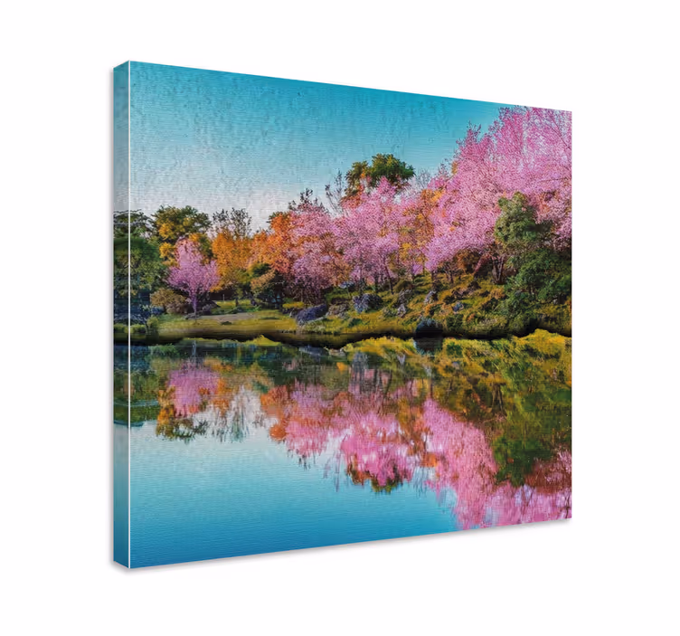 Tableau paysages reflet de fleur de cerisier - TenStickers