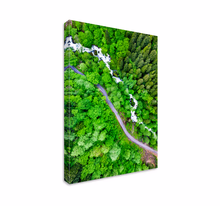Tableau paysages rivière forestière sinueuse - TenStickers