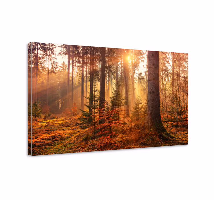 Tableau arbres sérénité forestière - TenStickers