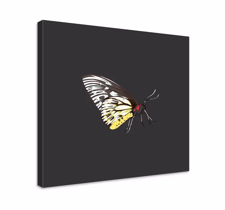 Tableau papillons profil de papillon élégant - TenStickers