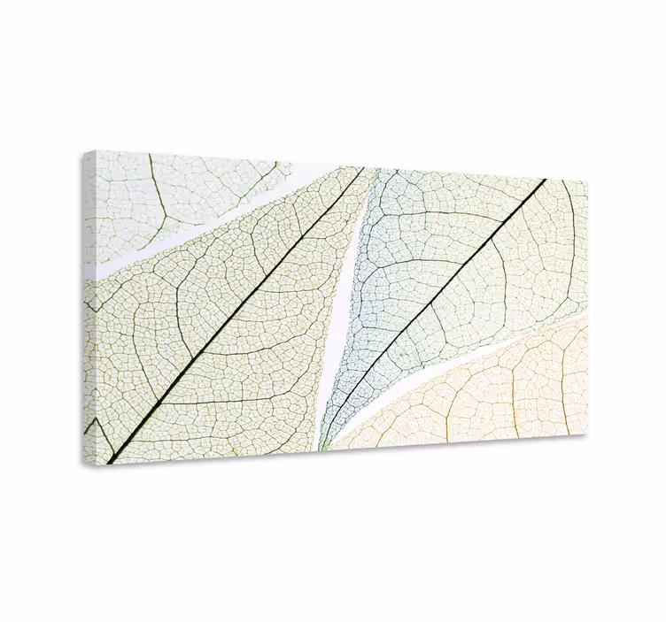 Tableau fleurs et plantes motifs de feuilles détaillés - TenStickers