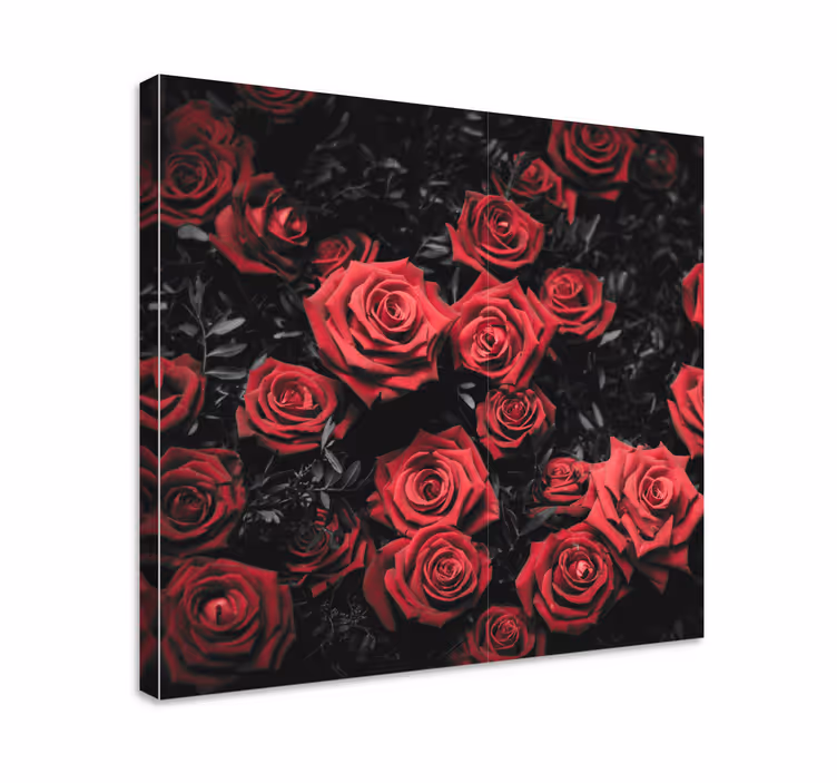 Tableau fleurs Noir et blanc avec des roses rouges - TenStickers