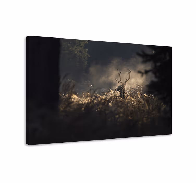 Tableau cerfs silhouette majestueuse - TenStickers