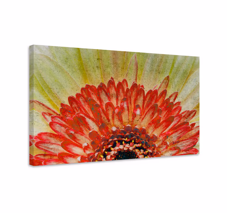 Tableau fleurs et plantes détail de fleurs vibrantes - TenStickers