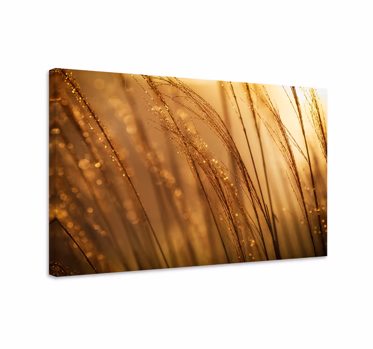 Tableau fleurs et plantes texture d'herbe dorée - TenStickers